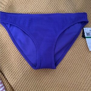 Salt + Cove Vibrant Purple Bikini Bottom